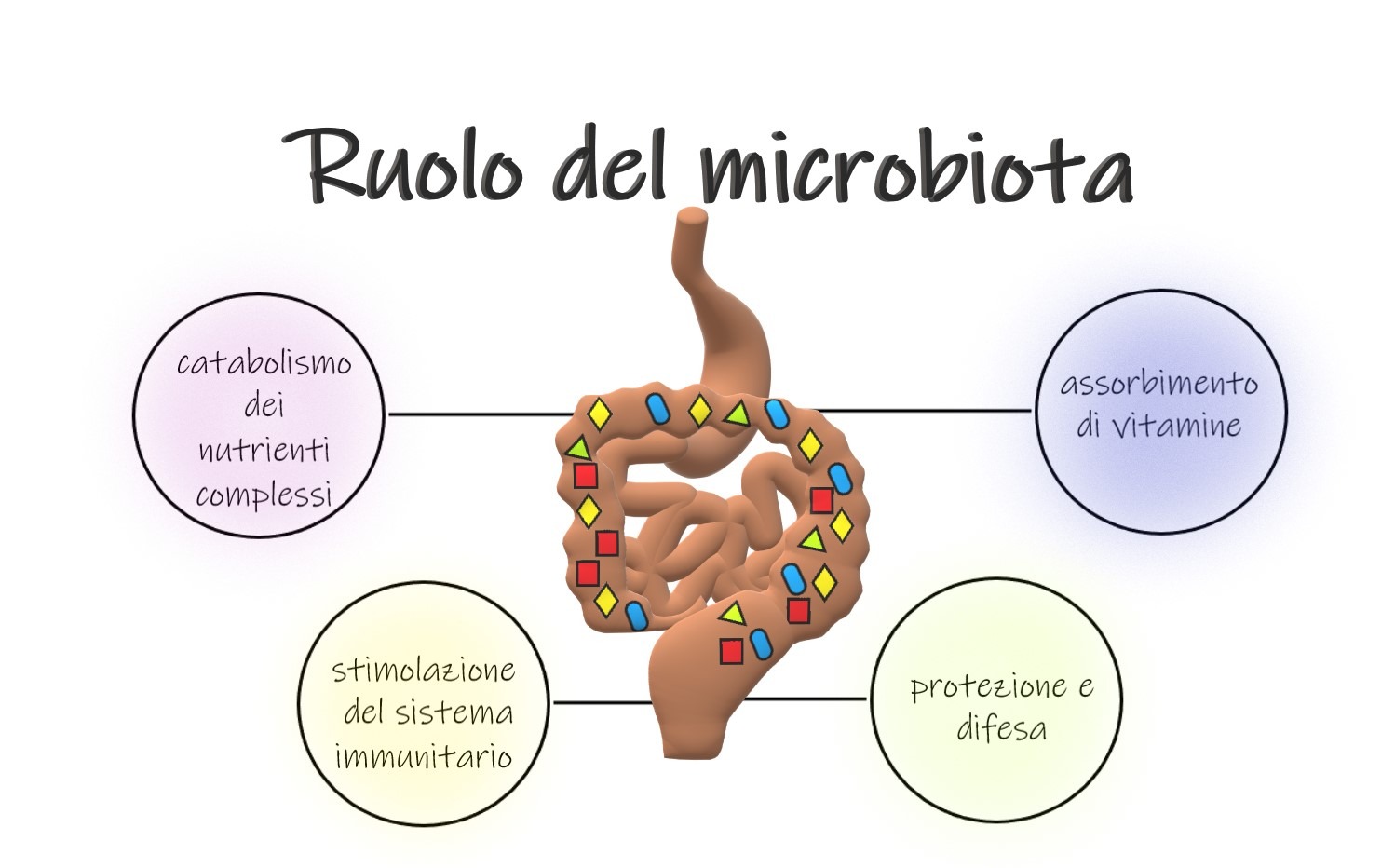 Il Microbiota: perché siamo uno zoo che cammina