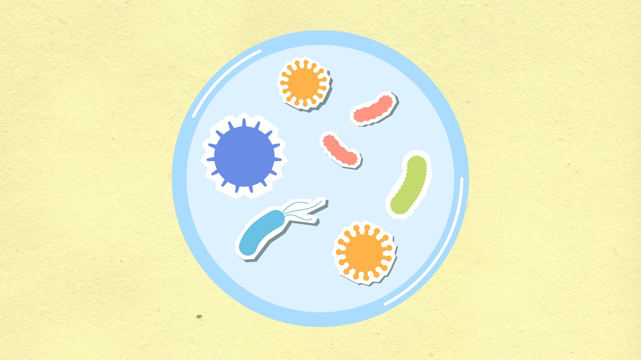 Sfondo giallo. In primo piano una piastra di Petri vista dall'alto. Nella piastra ci sono sette cellule con contorno bianco. Due cellule sono ovali piccoli di colore corallo. Due cellule hanno la forma stilizzata del sole e sono di colore arancione. Una cellula è un sole stilizzato blu. Una cellula è un cetriolo di colore verde pisello. Una cellula è un ovale con tre antenne di colore azzurro. All'interno della piastra stanno avvenendo alcuni processi del metabolismo cellulare.