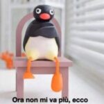 Pingu seduto su una sedia a braccia conserte. In basso c'è una frase che cita "ora non mi va più, ecco".