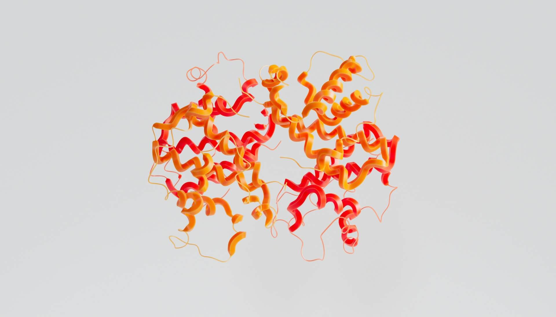 Filamenti di proteine di colore giallo e rosso.